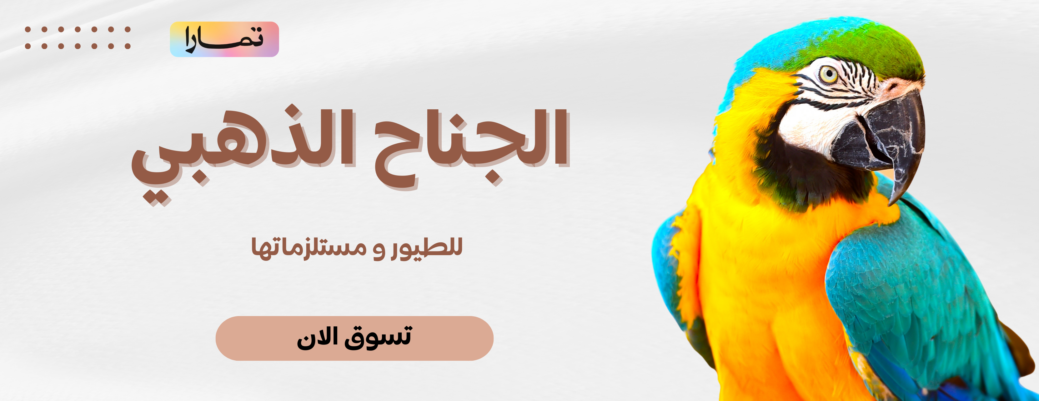 fixed banner