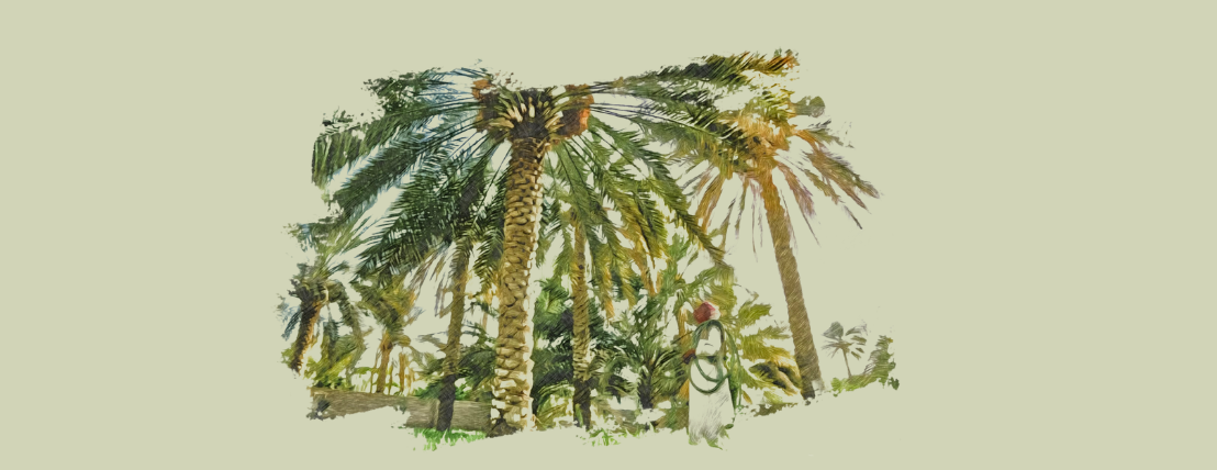Themar AlAhsa image-slider-1