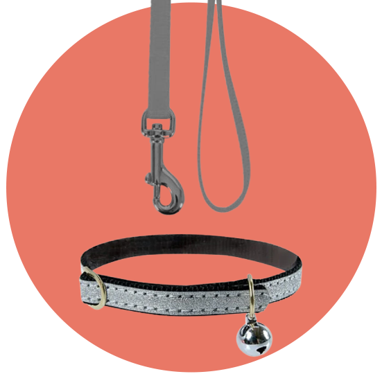 أطواق ومشدات القطط