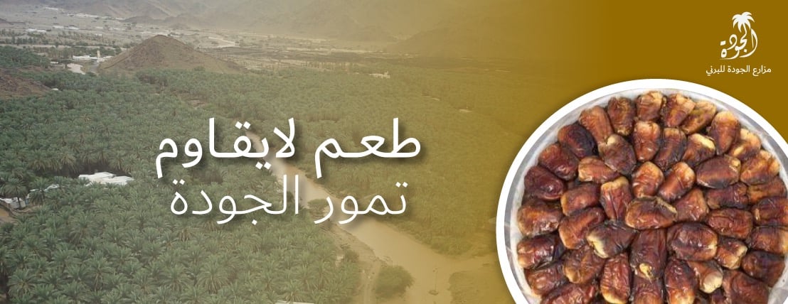 برني العيص image-slider-1