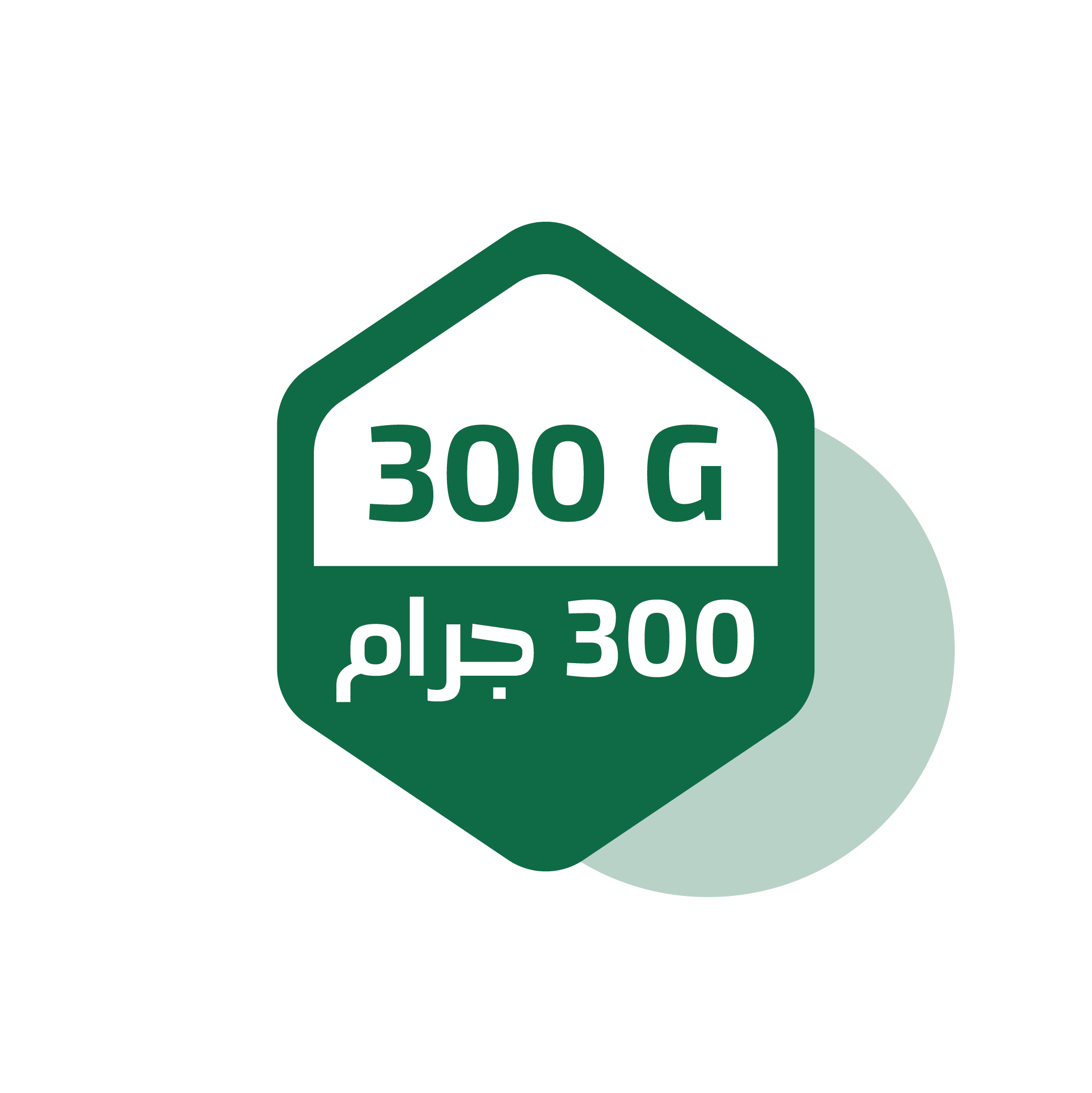 Spices size 300 grams