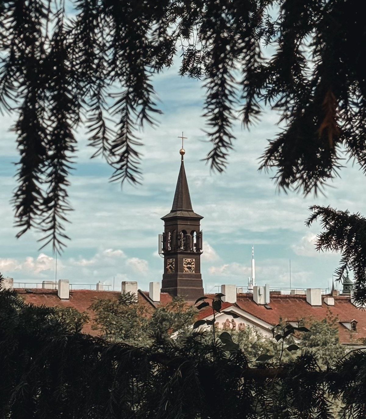 احمد الحربي