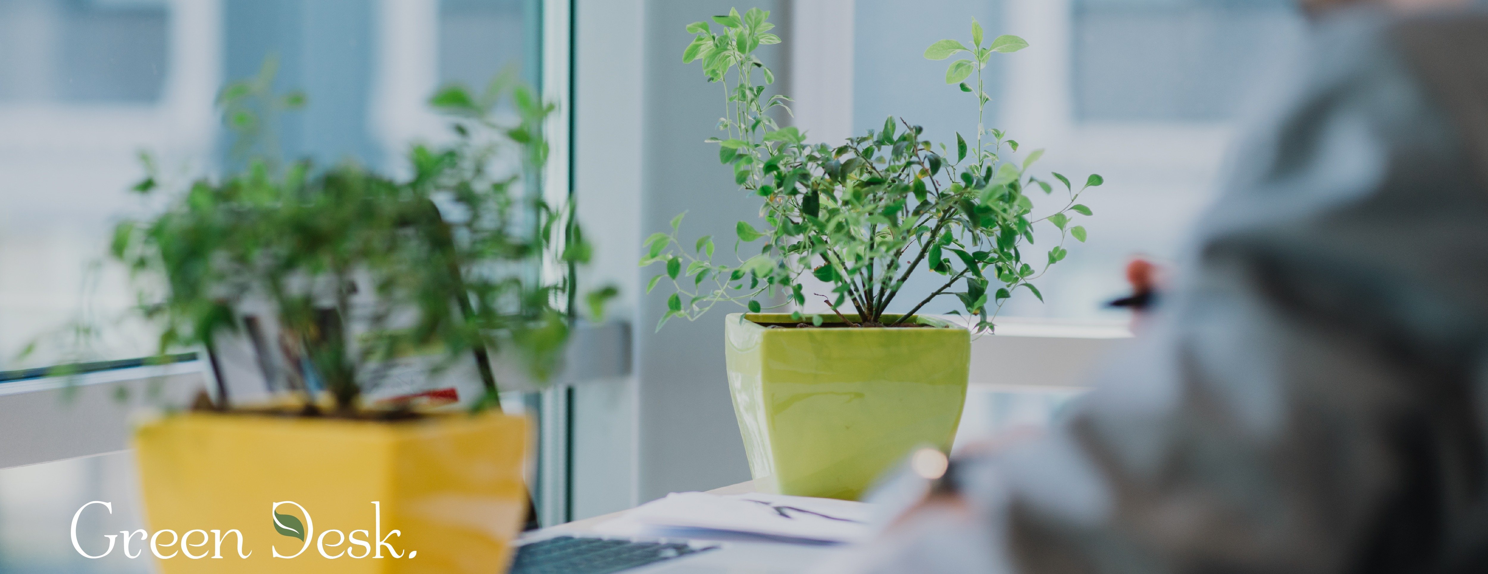 Green Desk image-slider-1