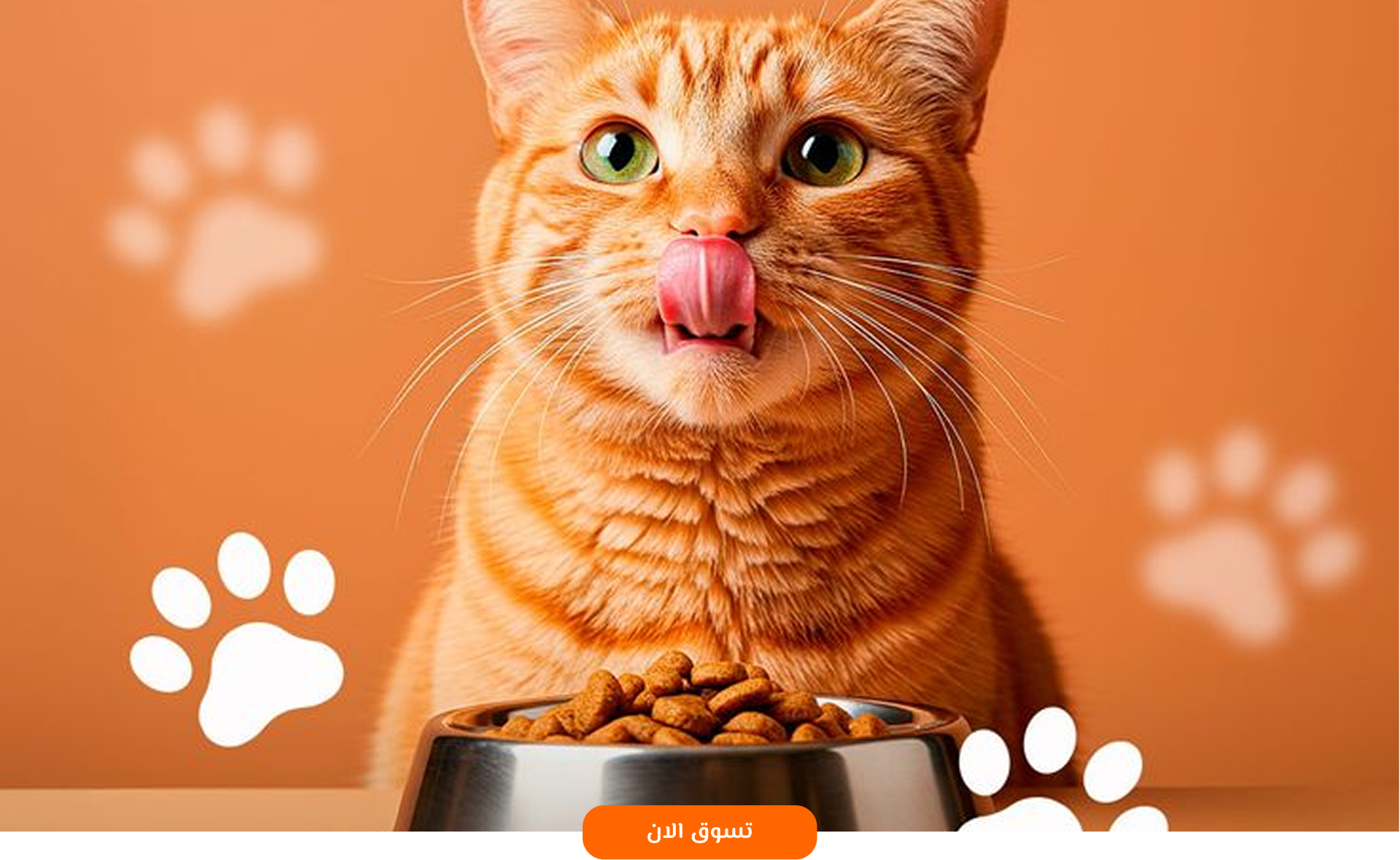 Shabrq image-slider-0