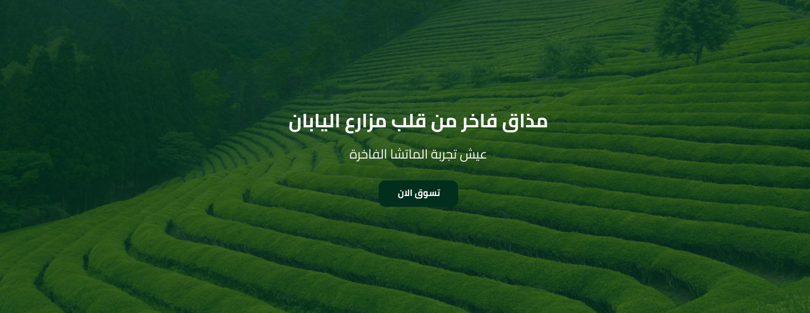 yourlovelymatcha image-slider-0