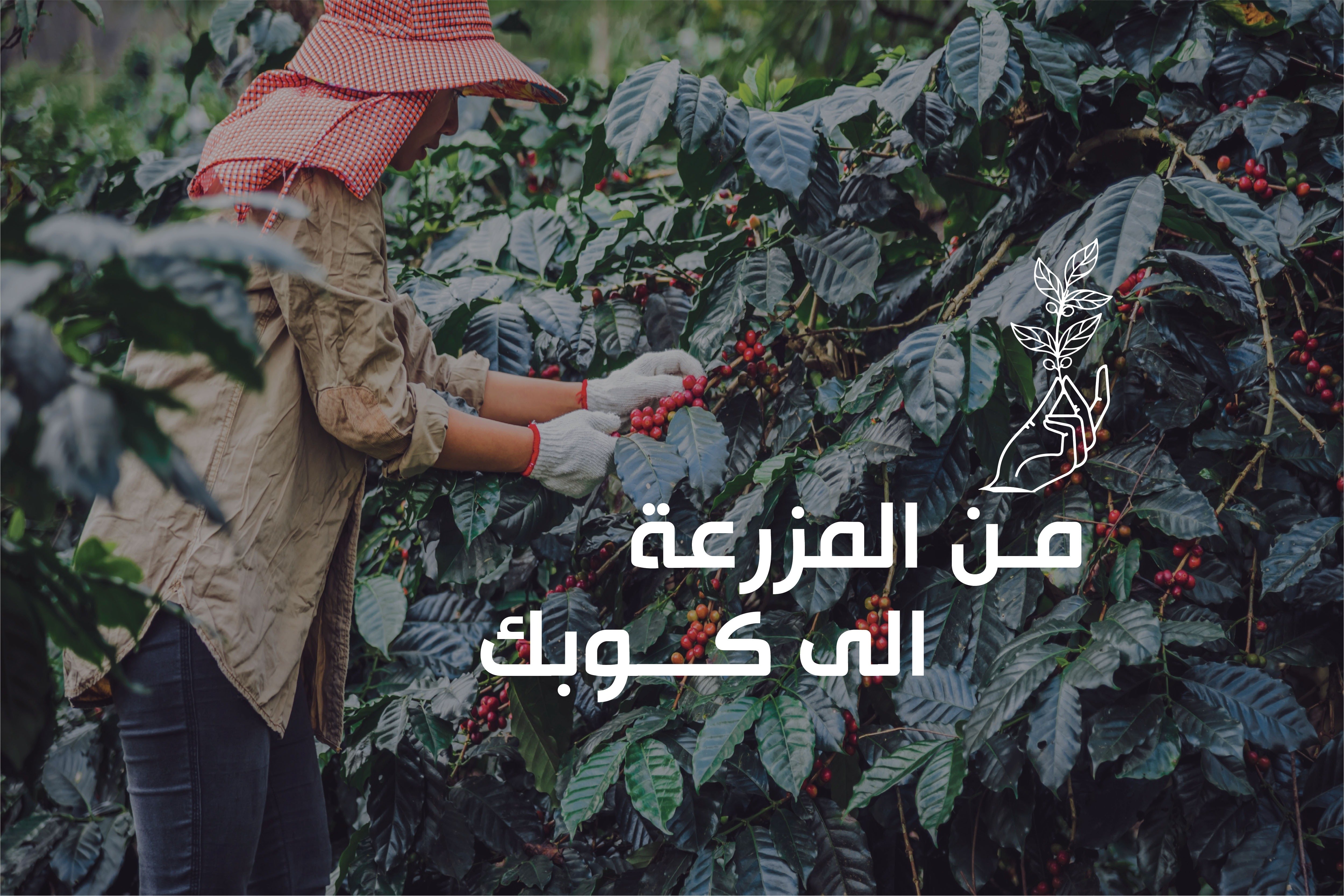 Hassad Coffee Roasters محمصة حصاد