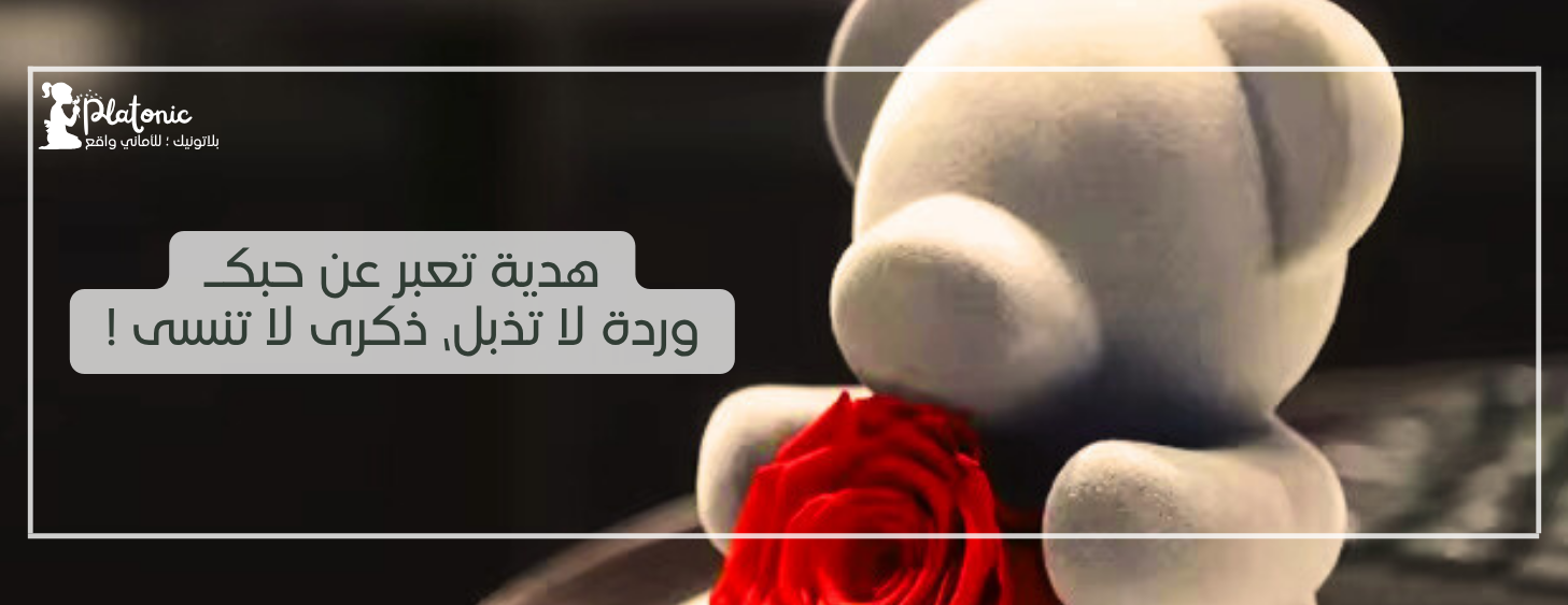 PLATONIC image-slider-1