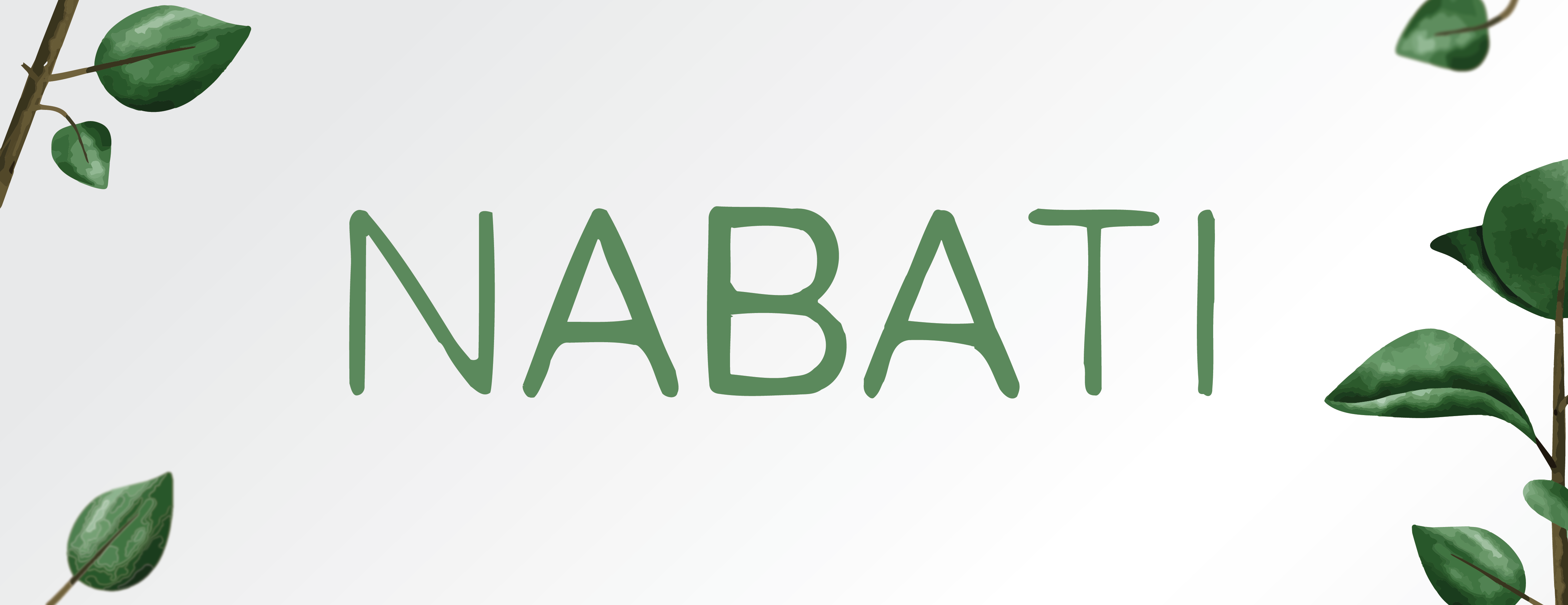 NABATI image-slider-0