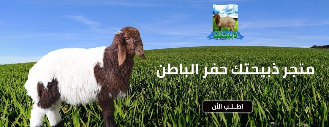 ذبيحتك image-slider-0