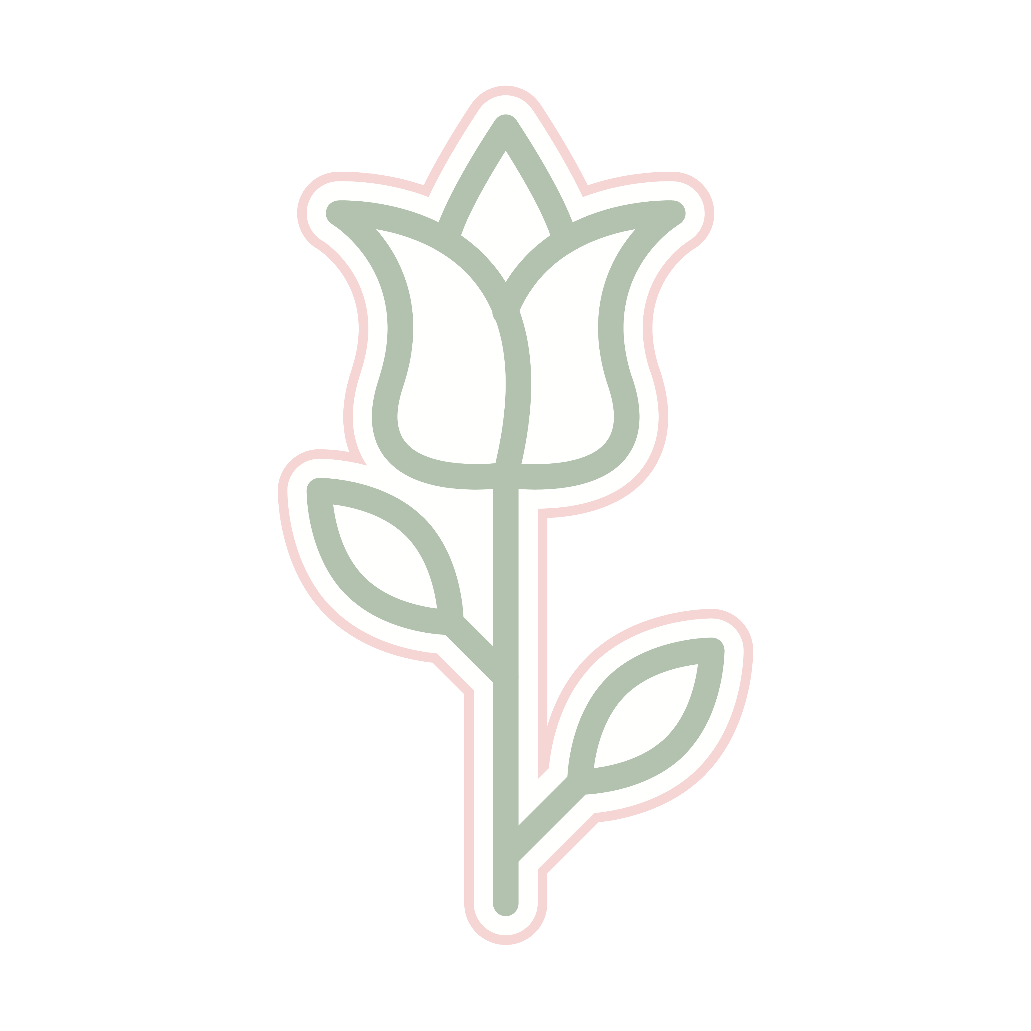 تنسيقات راقية