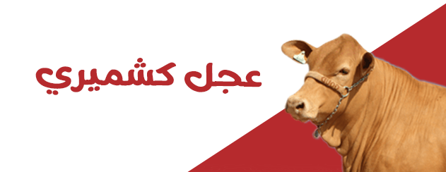 بوصلة اللحوم image-slider-1