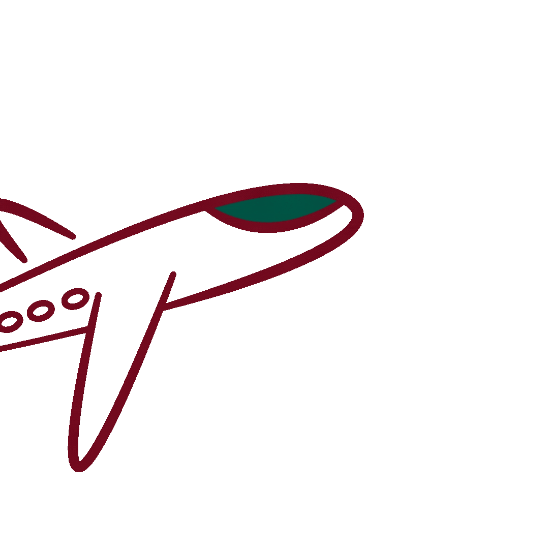 الشحن الدولي السريع