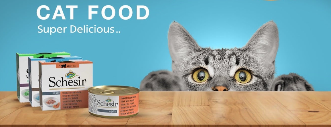 Yazeed zoo image-slider-5