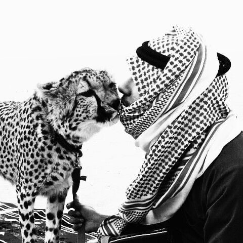 باسل الحارثي