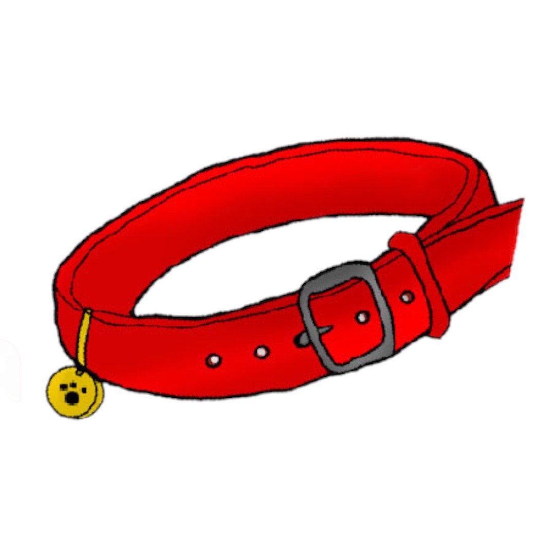 اطـــواق و الاكسســــورات و ملابس