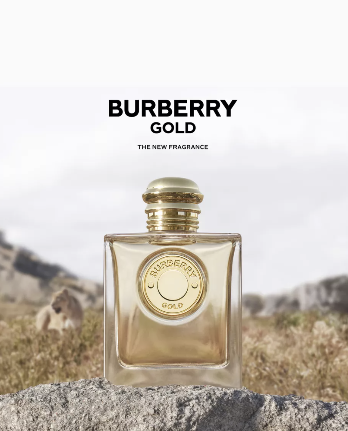 Special products slider