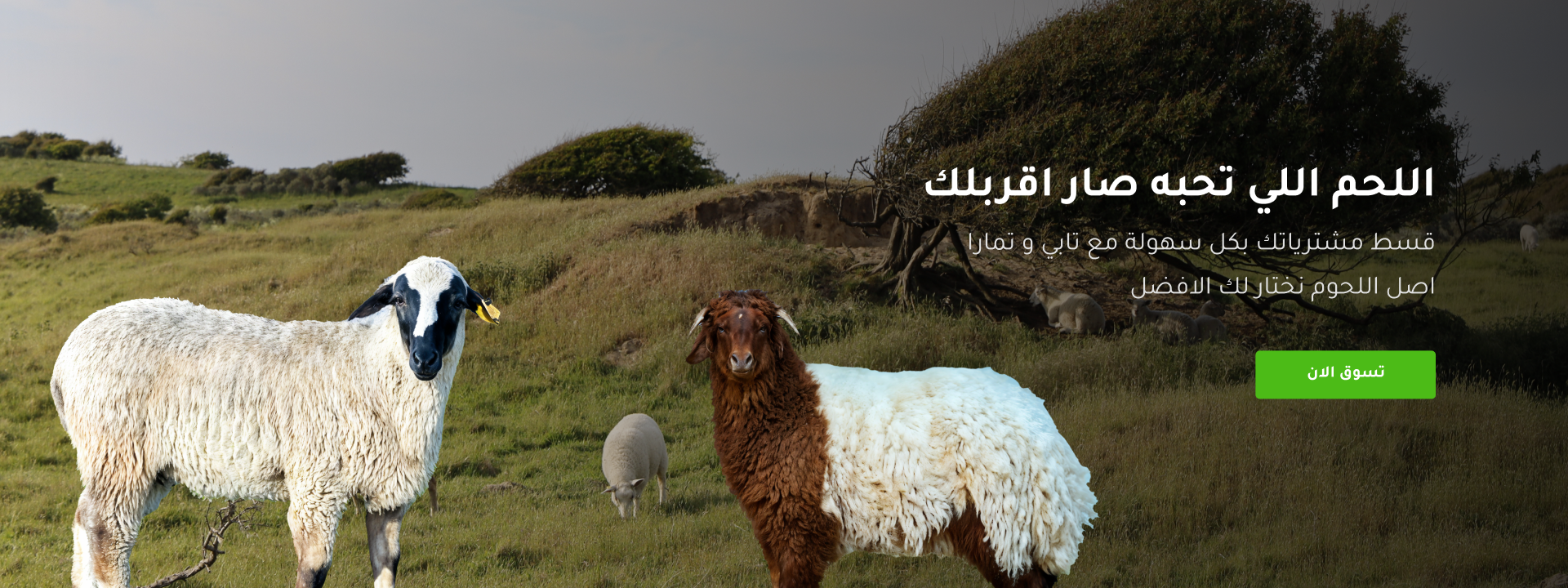 أصل اللحوم image-slider-1