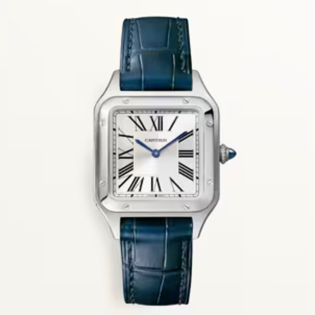 سانتوس دومو