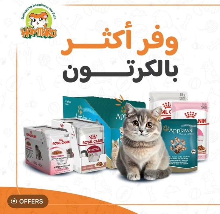 اكل قطط رطب بالكرتون