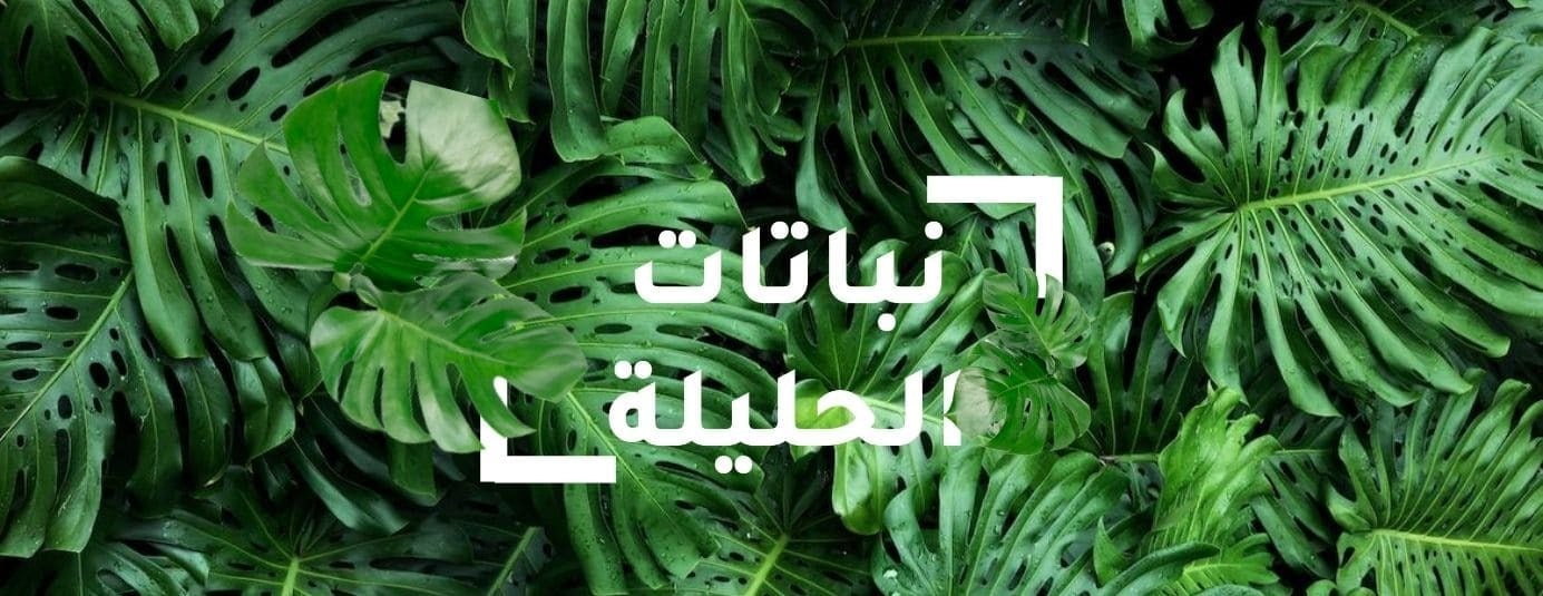 نباتات الحليلة image-slider-0