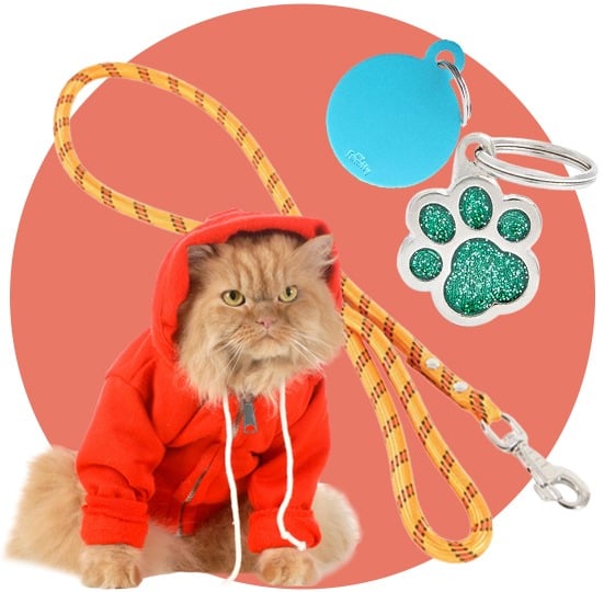 إكسسوارات القطط