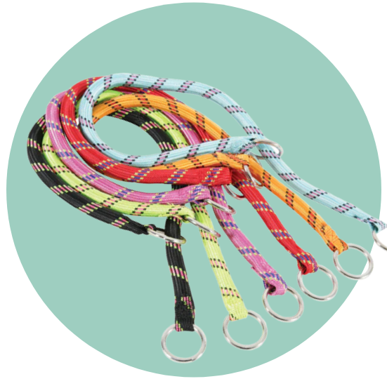 أطواق ومشدات للكلاب