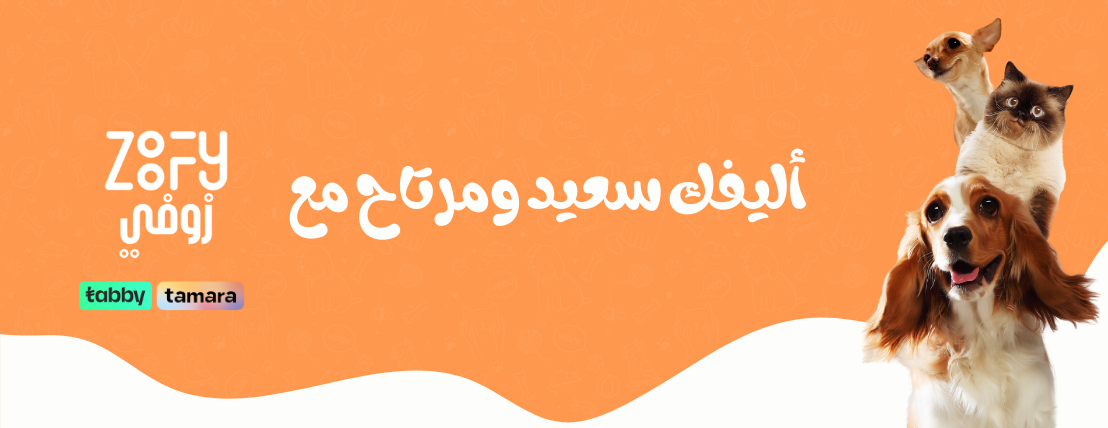 fixed banner