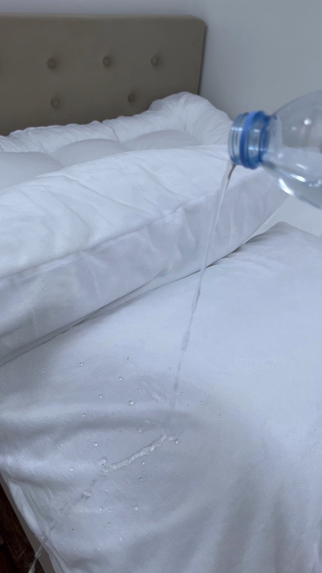 العنود محمد