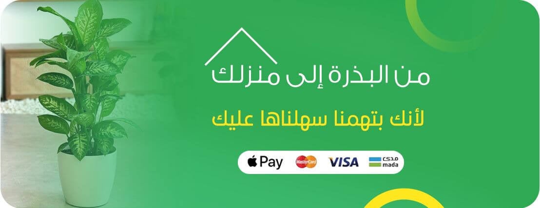 زاميا image-slider-0