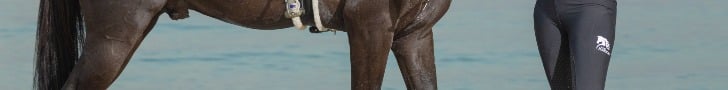 fixed banner