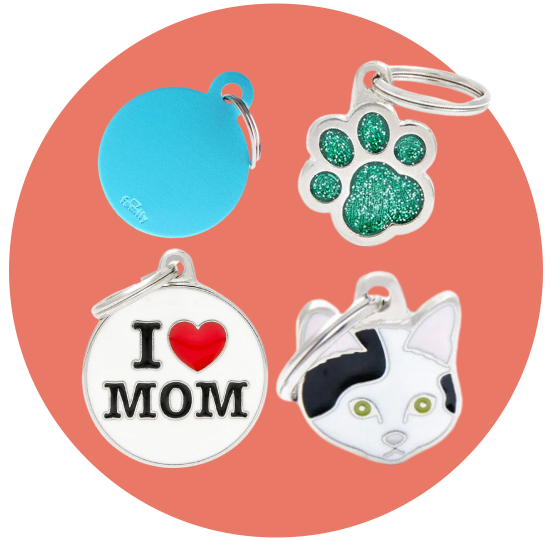 قلائد القطط