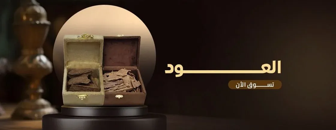 FULAYORA image-slider-2