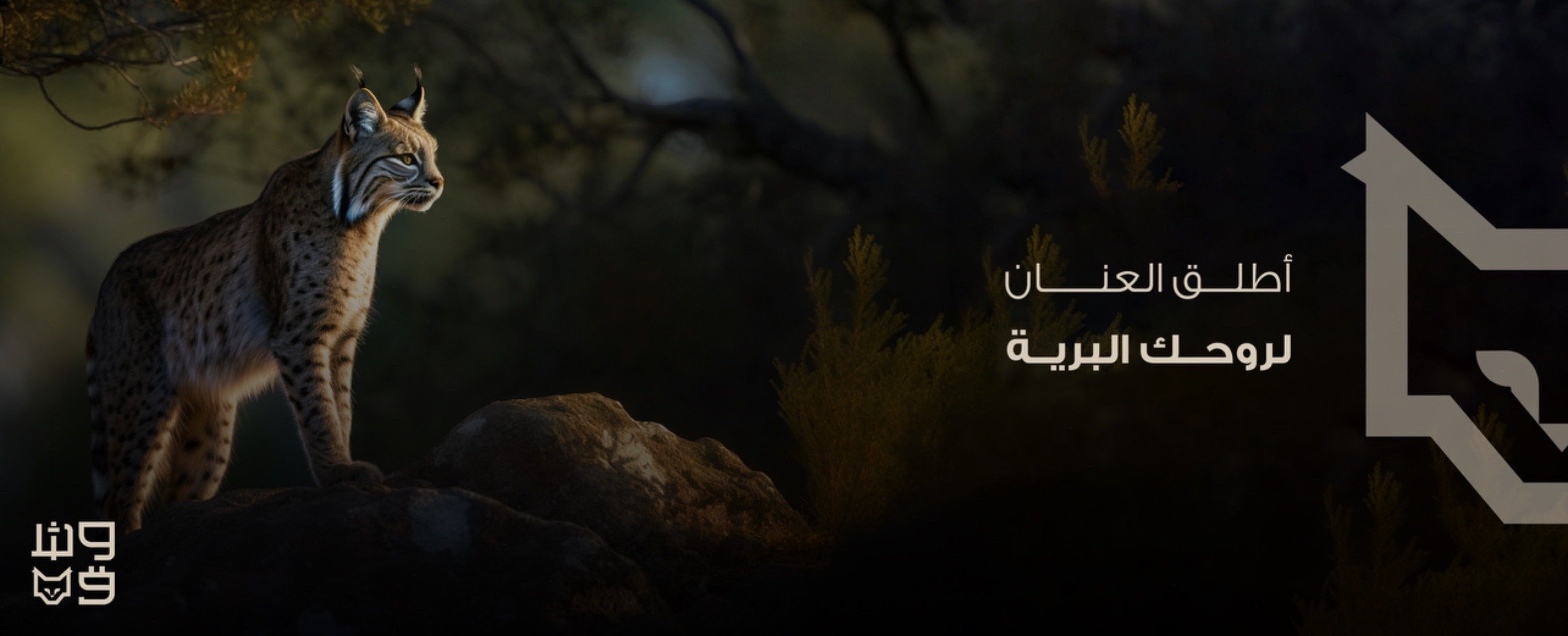 fixed banner