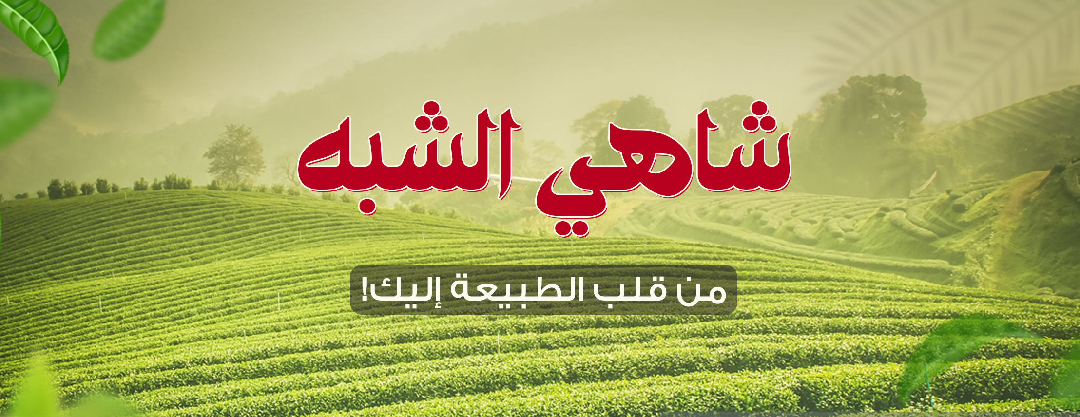 شاهي الشبه image-slider-2
