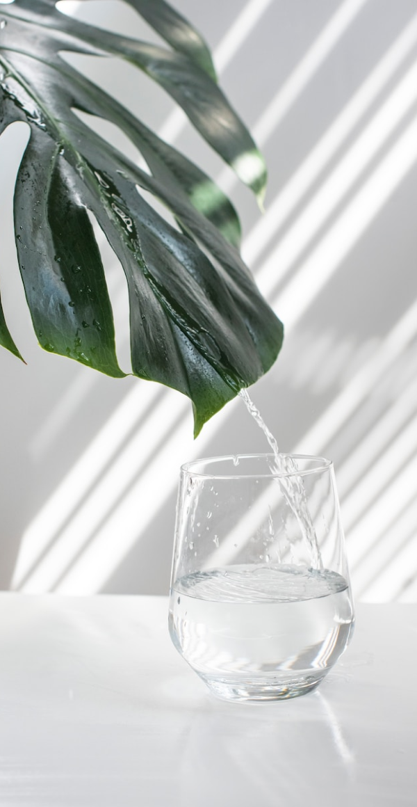 Banner تخزين وتنظيم الطعام