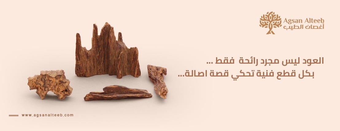 أغصان الطيب image-slider-0