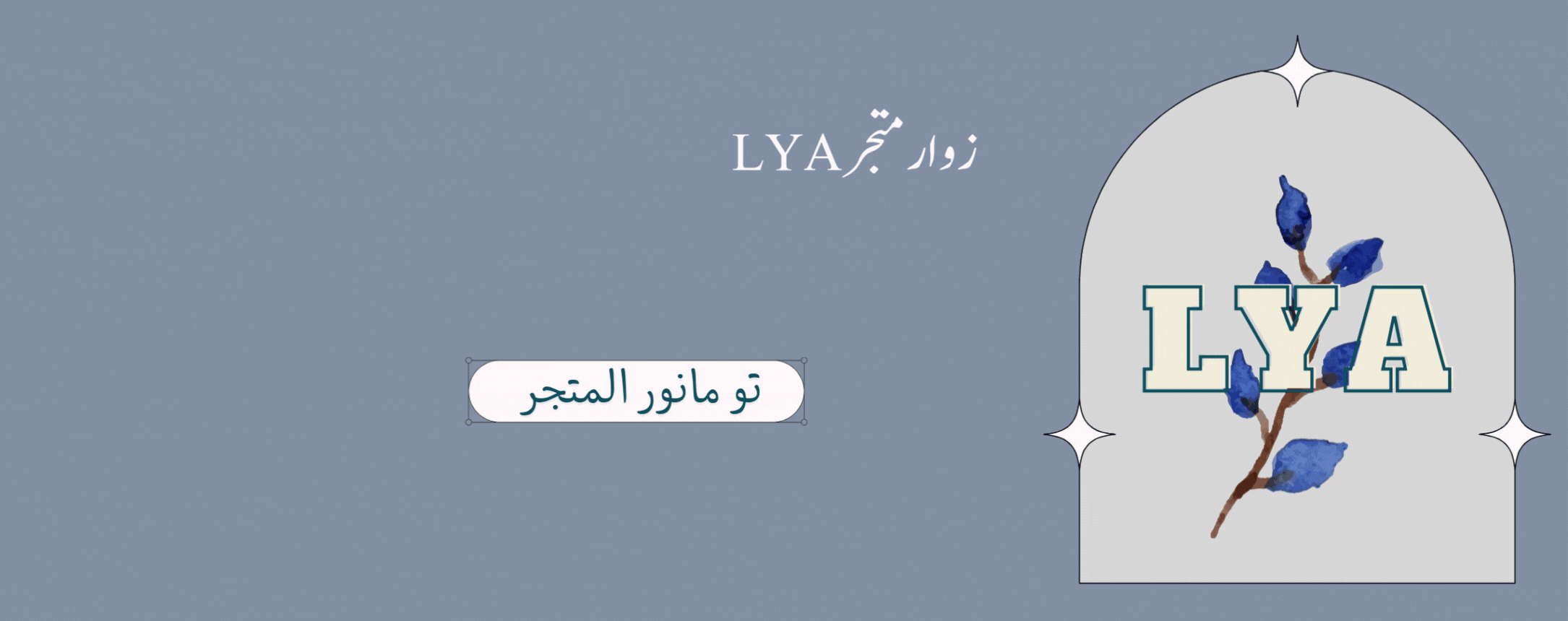 LYA image-slider-0