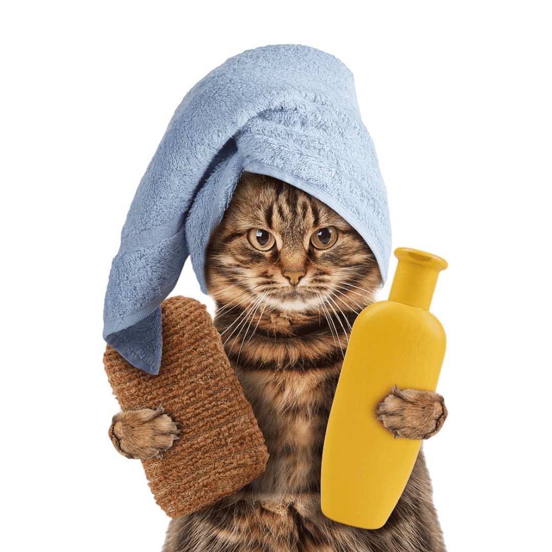 شامبـو و عطـور