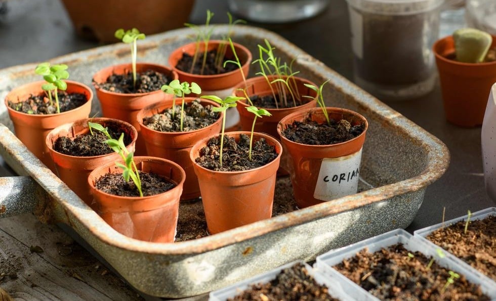 نساعدك باختيار البذور اللي تناسبك !