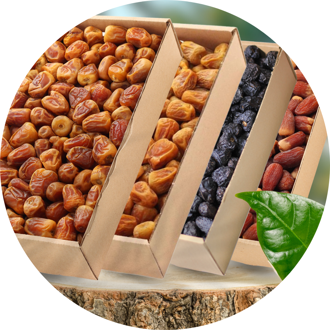 تمور نثري بالكرتون