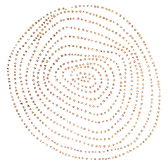 آراء العملاء
