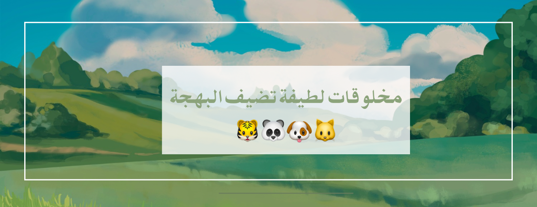 Fonsoo image-slider-3