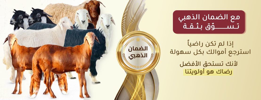 الخروف الفاخر image-slider-1
