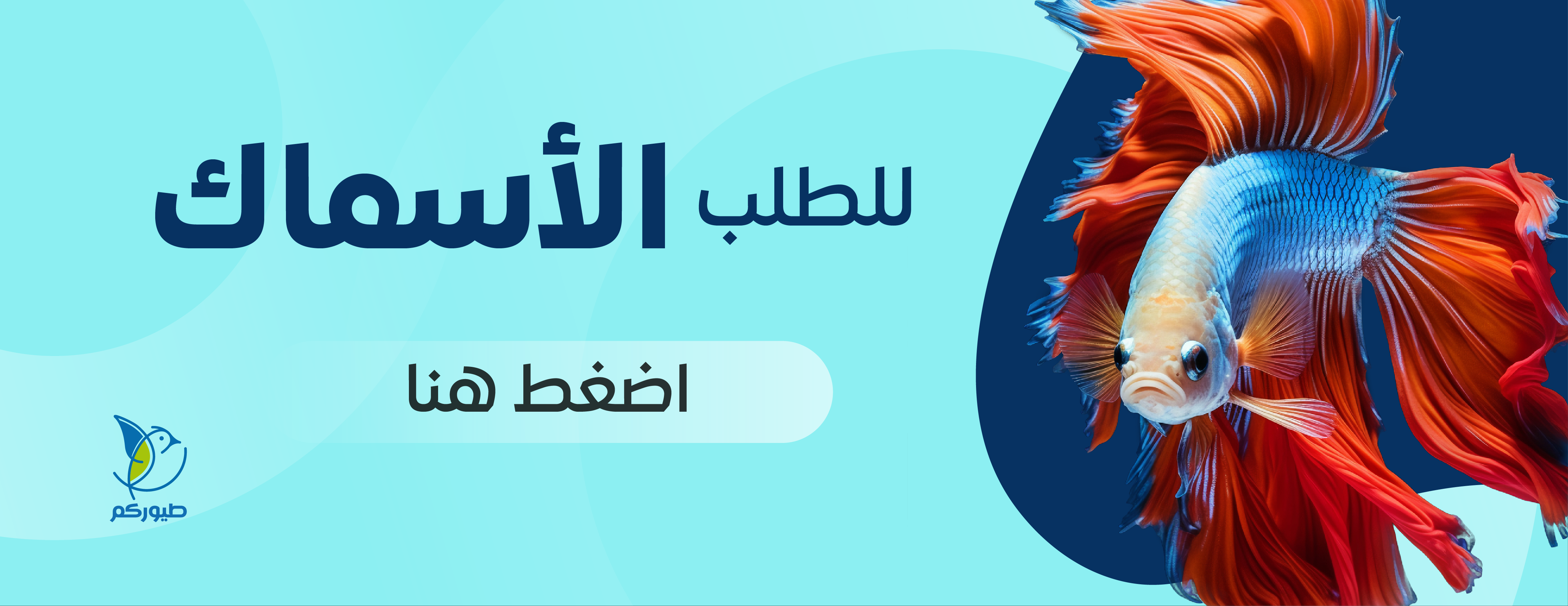 fixed banner
