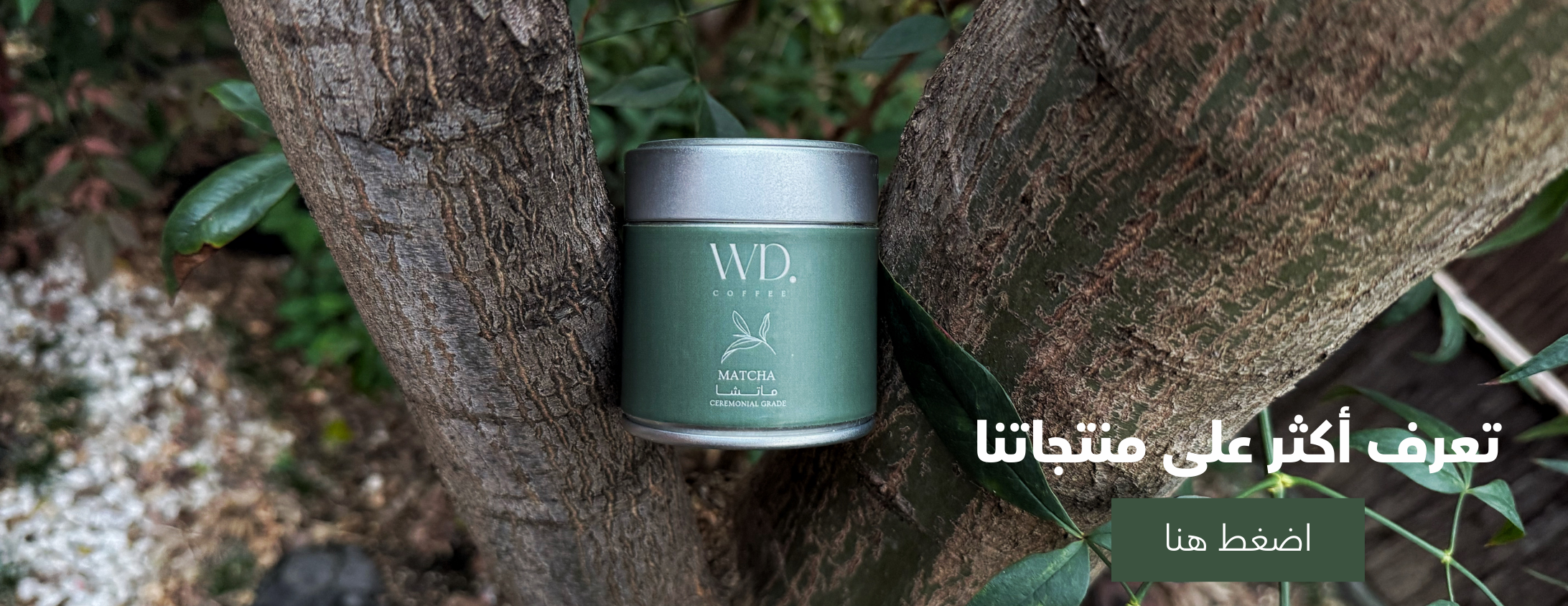 WD Coffee image-slider-1
