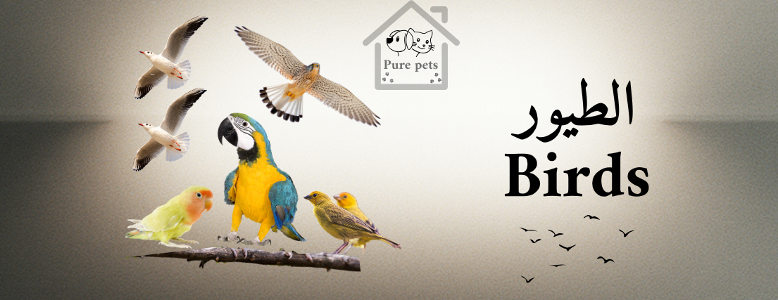 بيور بيتس pure pets image-slider-2