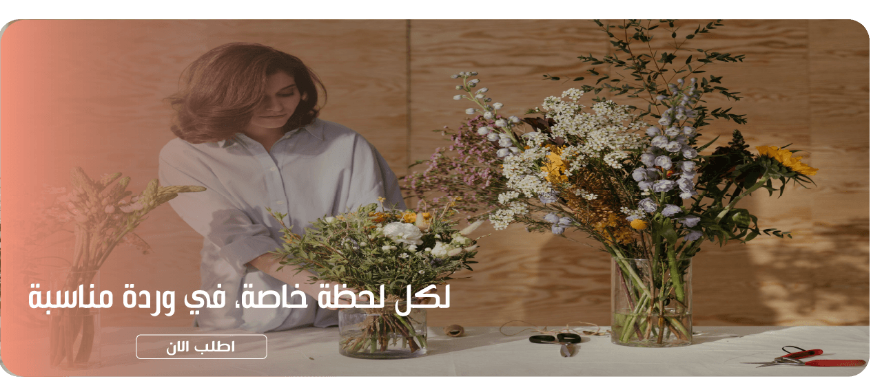 Softie image-slider-0