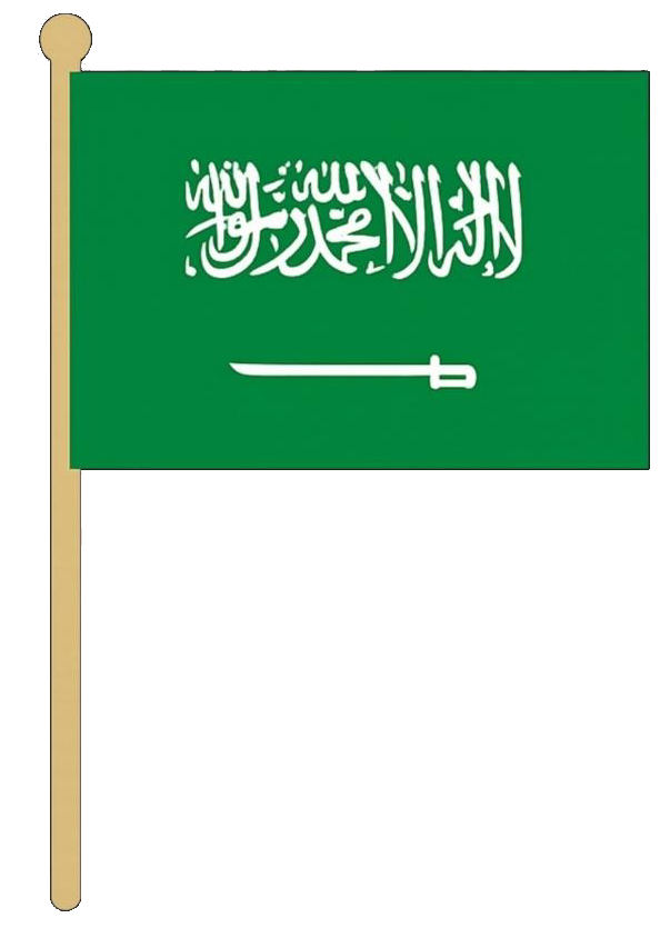 عروض اليوم الوطني
