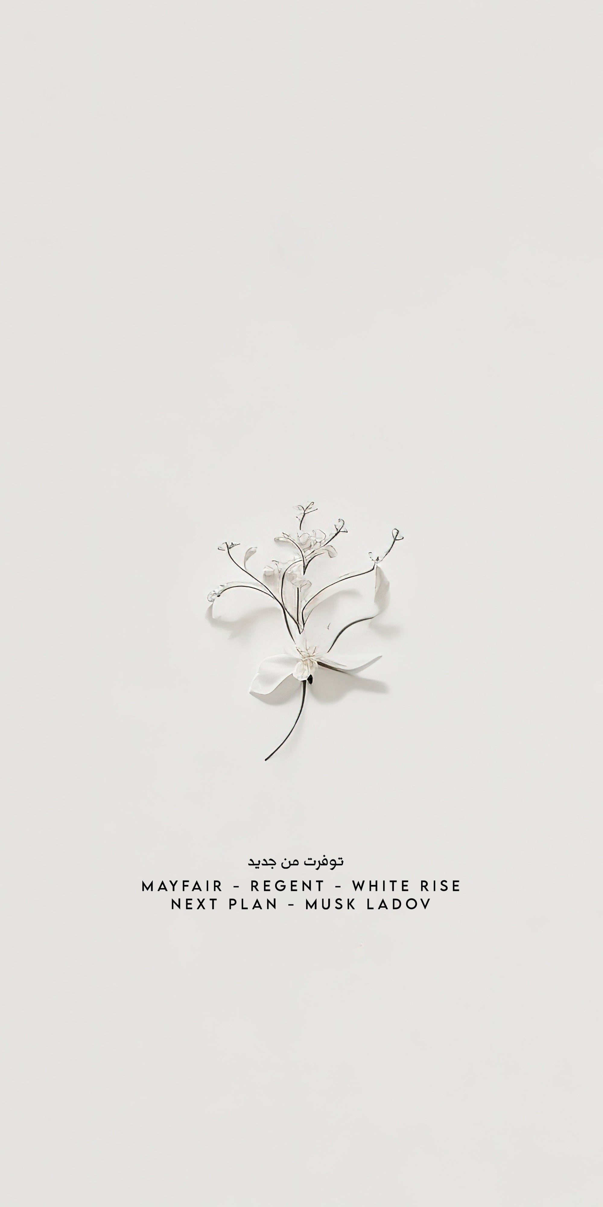 روش للعطور الخاصة