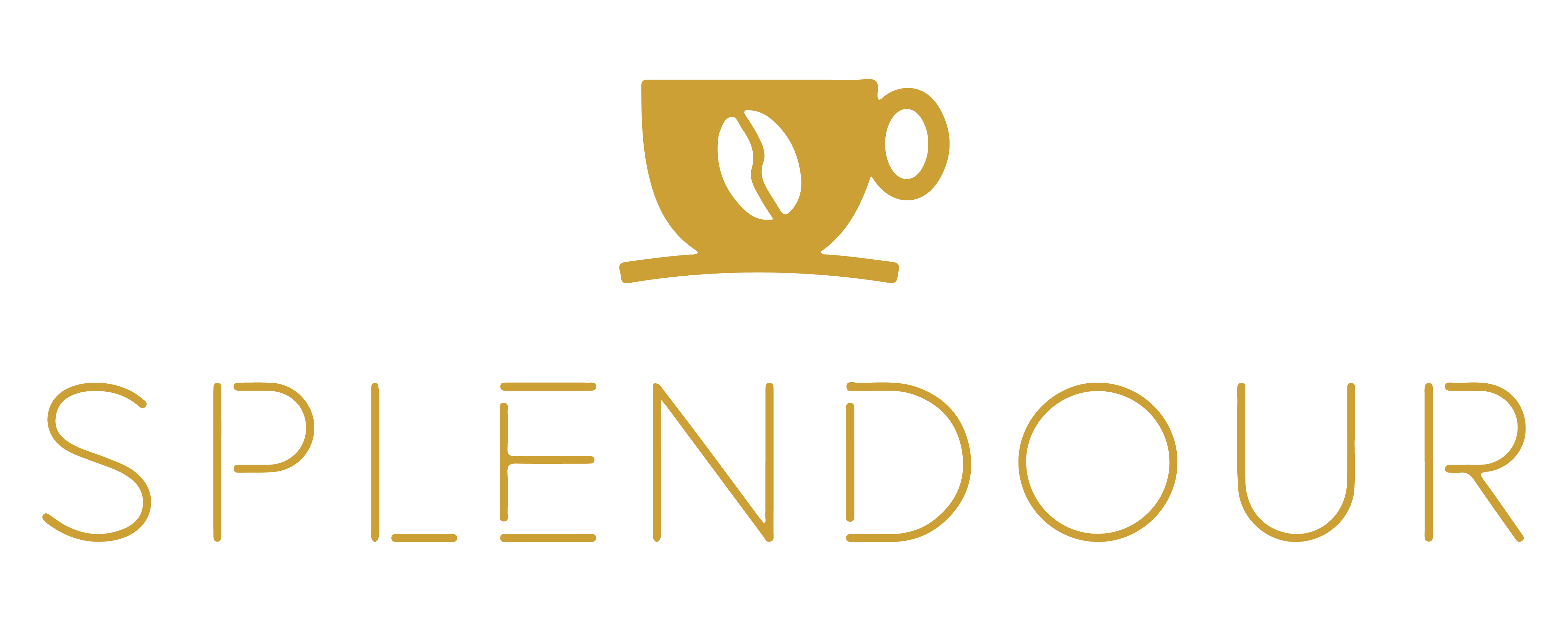 متجر سبلندر || Splendour Store-alt-logo